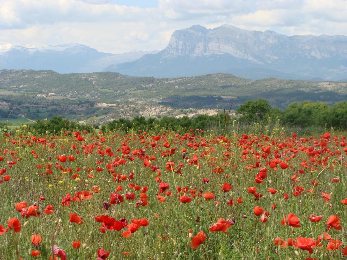 Apartamento Sierra De Guara Daire Paules Dış mekan fotoğraf